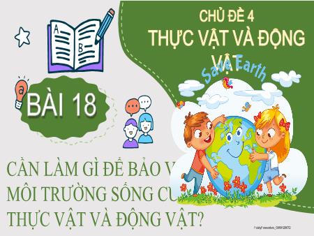 Bài giảng TNXH 2 - Chủ đề 4, Bài 18: Cần làm gì để bảo vệ môi trường sống của thực vật và động vật?
