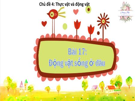 Bài giảng TNXH 2 - Tuần 18, Chủ đề 4, Bài 17: Động vật sống ở đâu? (Tiết 2)